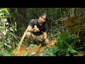Foraging for Wild Food in the Rainforest, Catch and Cook: Survival Alone | EP.299