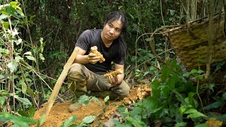 Foraging for Wild Food in the Rainforest, Catch and Cook: Survival Alone | EP.299