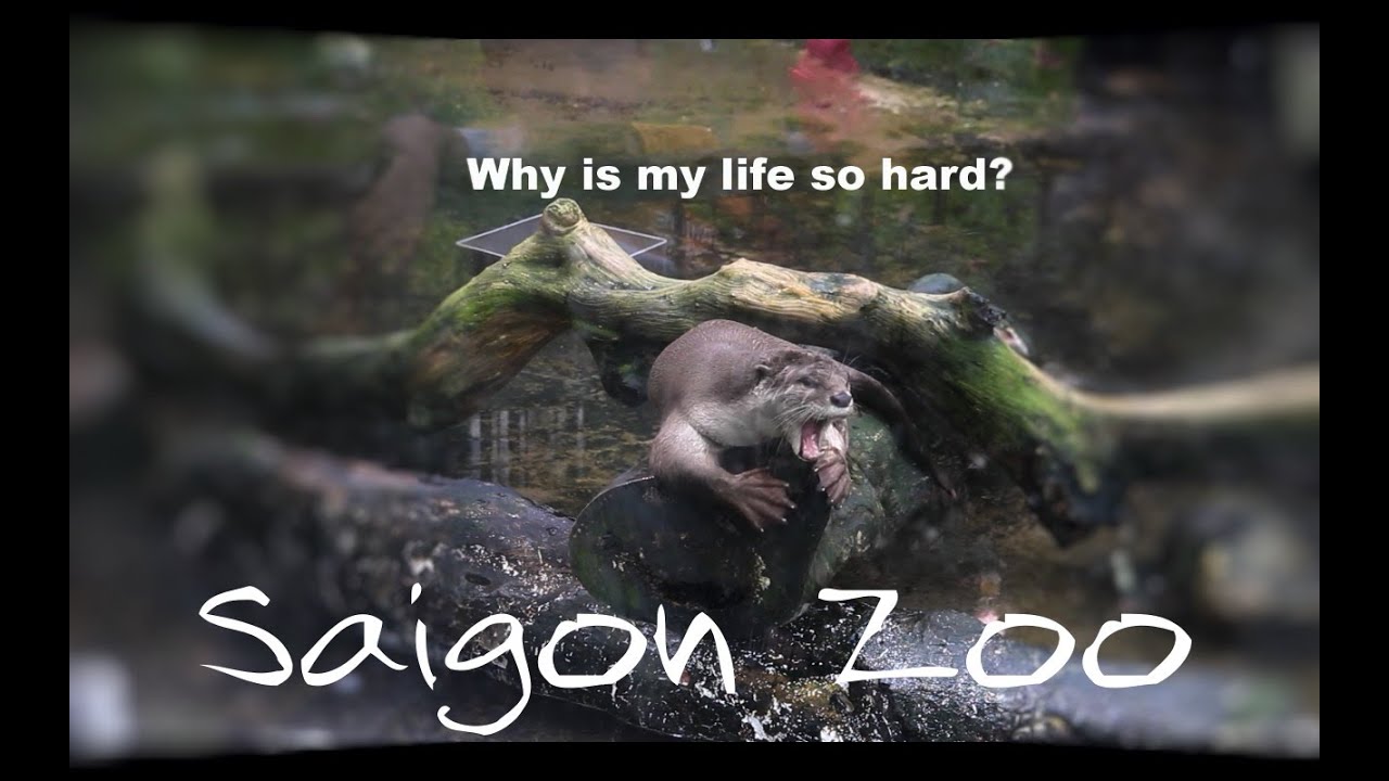 Saigon Zoo and Botanical Garden | Me at the zoo | Vietnam | 5 Minutes Trip