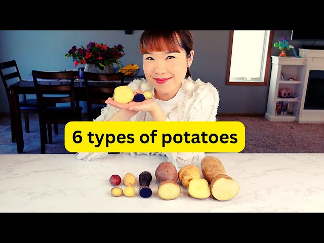 The Brown Russet Potato vs. The Red Potato • The Cooking Dish