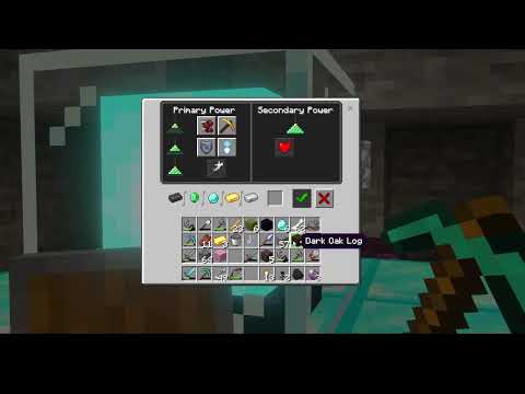Minecraft Every Block Live Stream (47) finale