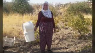 Sepramin Dey Bawemin