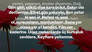 Dağ Gülü Tomurcukları - Ufuk Resimi