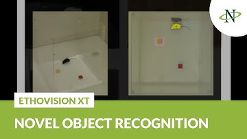 EthoVision XT - The novel object recognition test