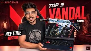 TOP 5 Vandal Skins You NEED in Your Collection! 🔥