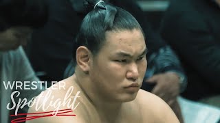 Hoshoryu \& Great Sumo Legacies | Sumo Wrestler Spotlight | Ep. 2