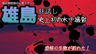 【雄島】心霊スポットで釣りしたら恐怖の生物が釣れてゾゾゾ…【安島漁港】