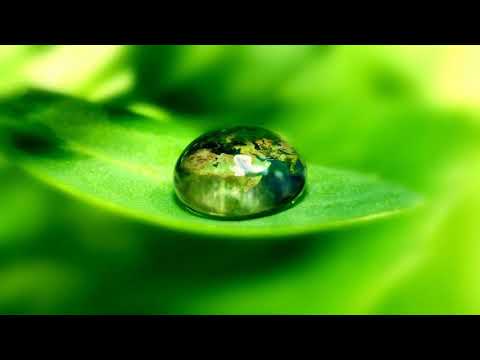 رنة هاتف جيتار يامحلاها تحميل MP3 من أجمل نغمات الجيتار Spring Ringtone 