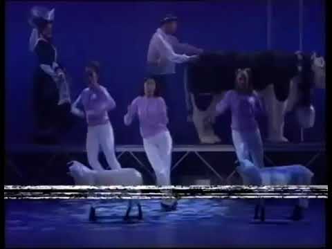 Darren Day-Dancing Shoes