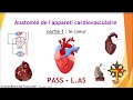 Anatomie de lappareil cardiovasculaire  partie 1  le cur  tutorat associatif toulousain