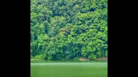 Fewa Lake, Pokhara, Nepal🇳🇵// Pokhara City Of Lakes😍 // #Shorts #Pokhara #Lakes #Nepal #Trending #YT