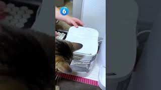 Top 10 Viral Products In 2023 You Might Have Missed