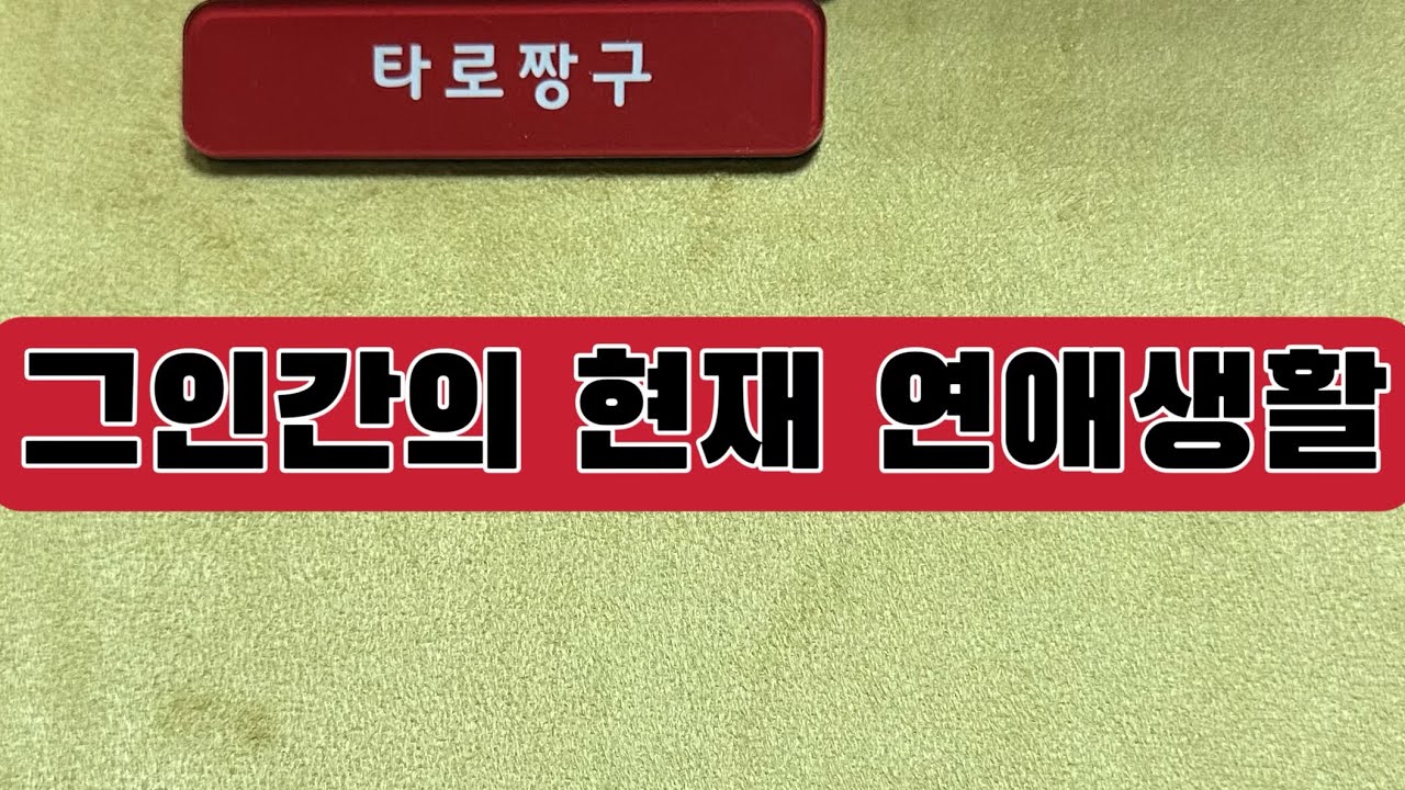 [타로짱구] 희망고문 없는 현실직시 타로