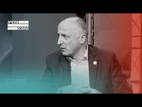 ცესკომ სრული დისკრედიტაცია განიცადა - ბადრი ჯაფარიძე