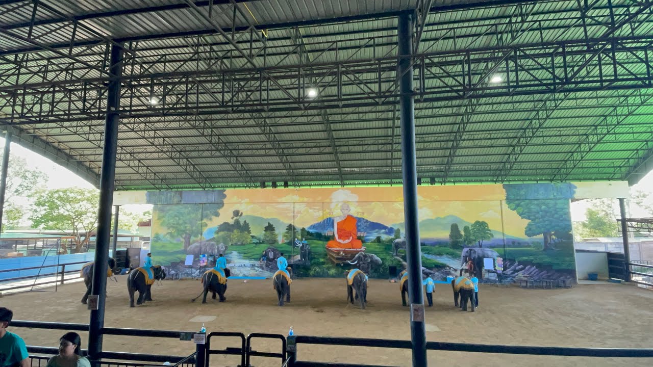 โชว์ช้างแสนรู้ ศรีอยุธยา ไลอ้อน ปาร์ค ep2