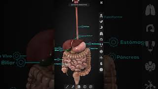 Virtual Medical Anatomy App for iOS screenshot 4