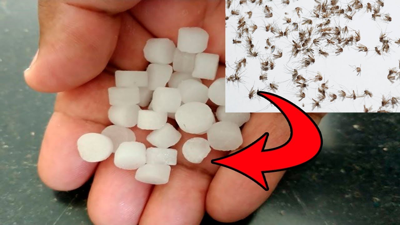 మీరే చూడండి 2 నిమిషంలో దోమలు అన్ని పరార్  || Mosquito Remedy