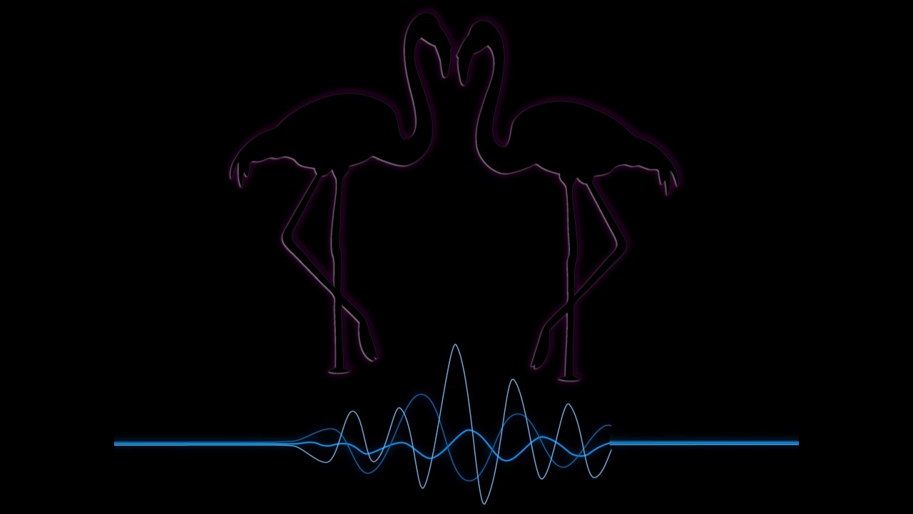 Flamingos: Don't Go (Instrumental)