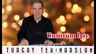 Turgay Tekinarslan - Unuttum İşte [ © Official Audio ]