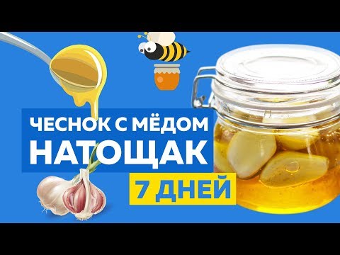 Если есть Чеснок с Медом Натощак 7 дней, со здоровьем произойдет чудо! Мед и чеснок польза