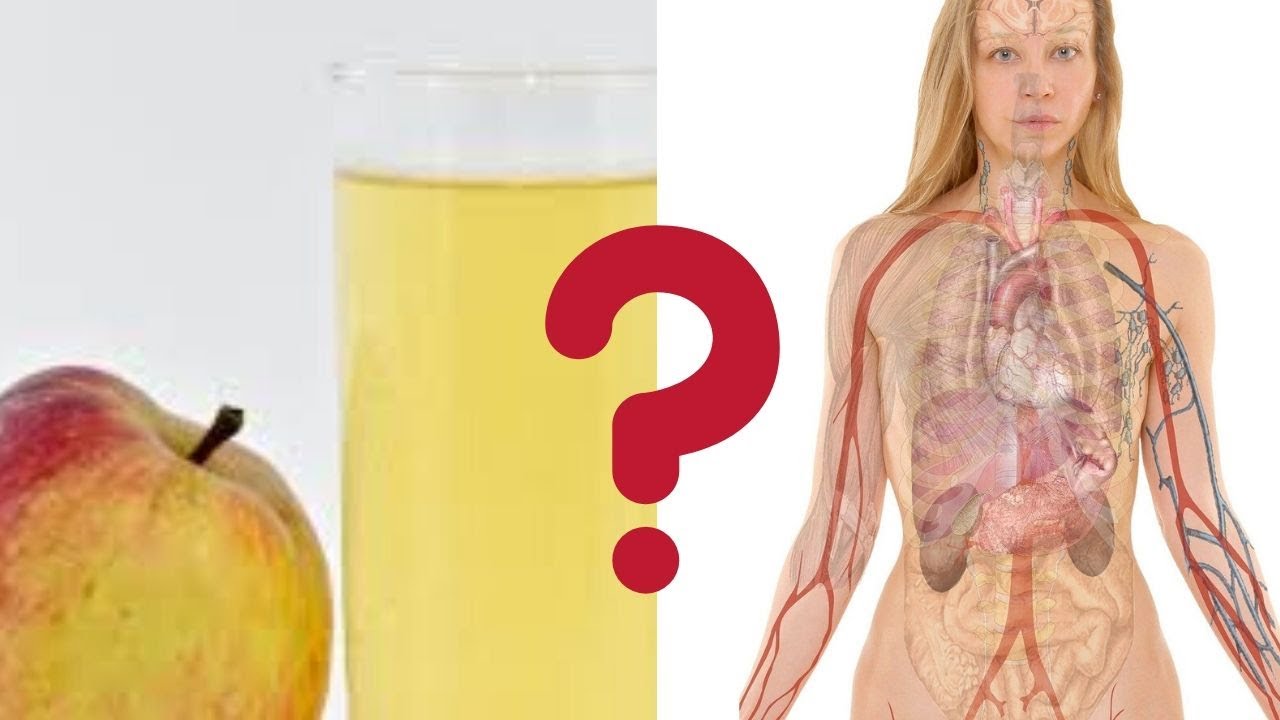 What Apple Cider Vinegar Really Does To Your Body? Apple Cider Vinegar