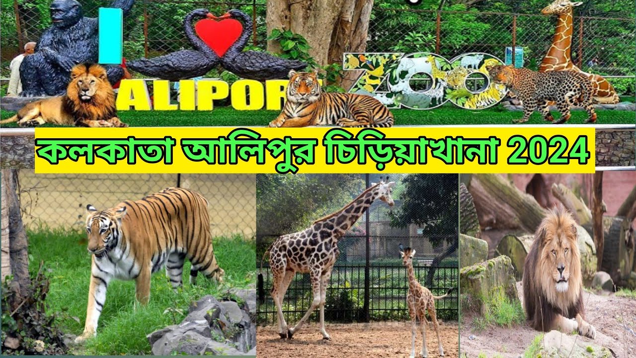 Kolkata Alipore Zoo আলিপুর চিড়িয়াখানা 2024 Kolkata Zoological