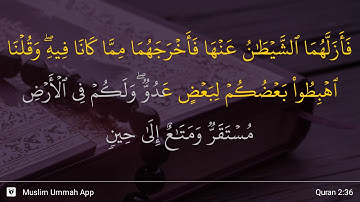 سوره بقره آیه 36