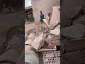 BIG ROCK 🪨 Crusher Machine - FULL Powerfull Process A Giant in Action-Big Rock Crushing