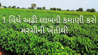 મરચીની ખેતી આવડતથી થઈ શકે...