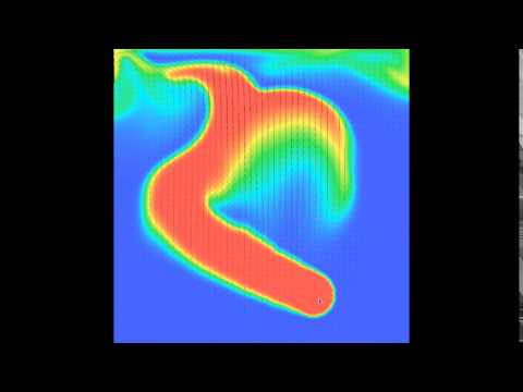 Stable Fluids 00