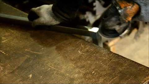 hicon pop display video