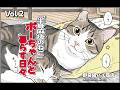「半身麻痺のねこ」ボーちゃんと暮らす日々😸Vol02