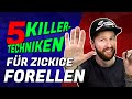 5 KILLER-Techniken für zickige Forellen von Fisherino!