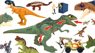 JURASSIC WORLD DOMINION DINOSAURS w/ Huge Giganotosaurus Dinosaur Figures + Toys BOX 2