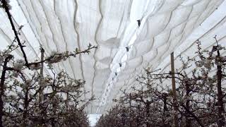 Voen - Water Drainage System Traufsystem Sistema Del Valle