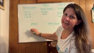 Pizza Mania!! Introduction -wk 6 vid 1 screenshot 5