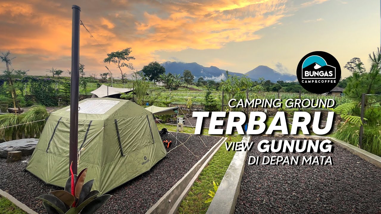 BUNGAS CAMP AND COFFEE | CAMPING CIPANAS | CIPANAS CIANJUR | HIDDEN GEM CAMPING GROUND