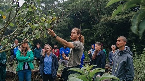 What is a Permaculture Design Course?