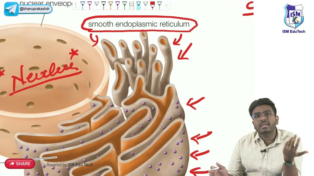 Cell physiology Structure and Function : General physiology