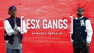 [ESX] Complete Gang System for ESX [CHEAP] - by AN Services