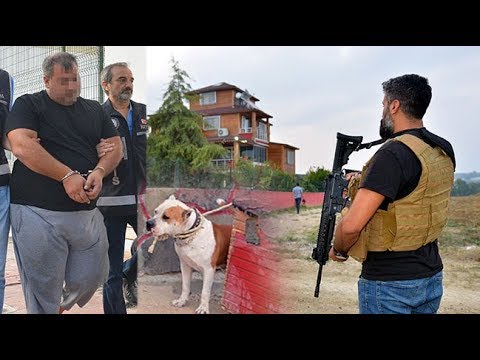 Adana'da Villasında 5 Pitbulla Korunan Baron!