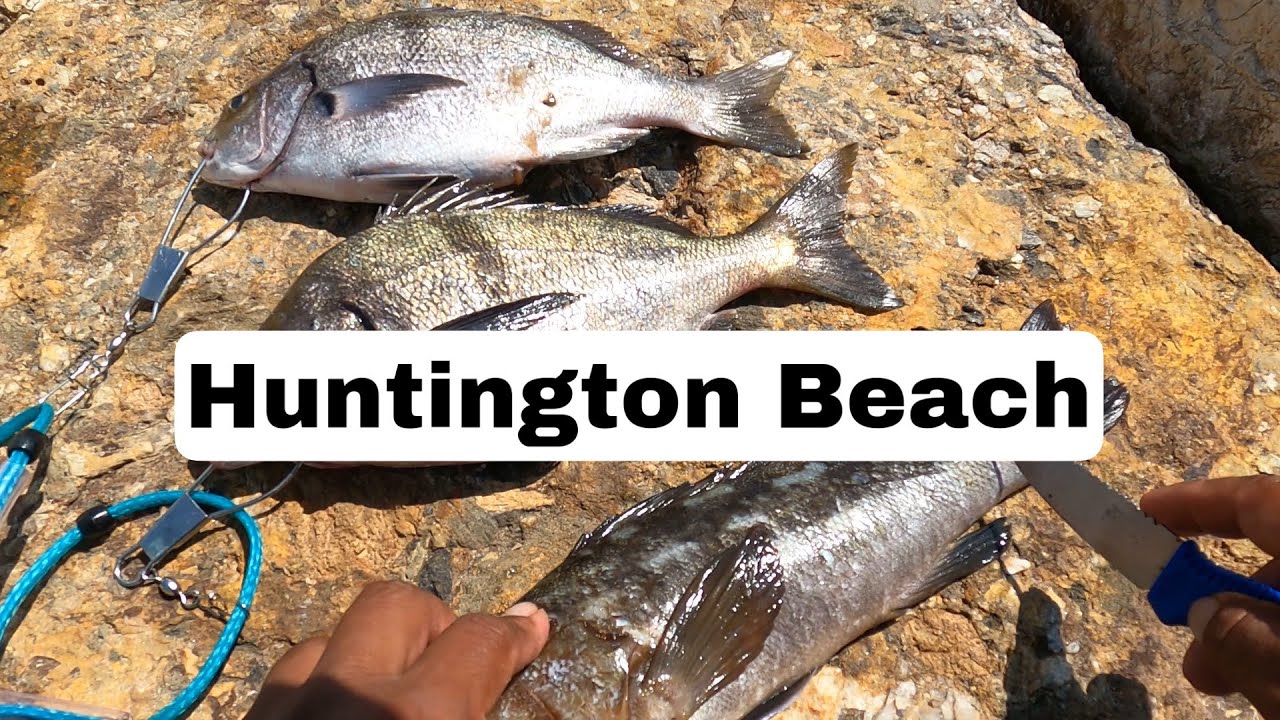 fishing Huntington Beach YouTube