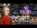 MOZART - Concerto No.1 in F major - III. Rondo, Musique classique pour se détendre, pour lire