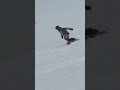Thick fog#Skiing#Snow-rolling small spin#Skiing is the best antidote to bad moods