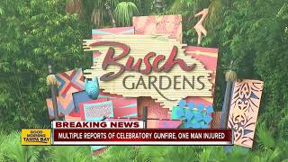 Celebratory gunfire incidents reported throughout Tampa Bay Area, one man injured