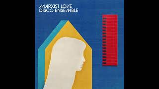 Marxist Love Disco Ensemble - Hide and Seek