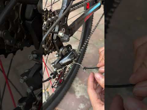 Mẹo khắc phục dây đề bị tòe đầu tại nhà