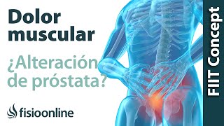 Tratamiento para los problemas musculares y articulares provocados por alteración de la próstata