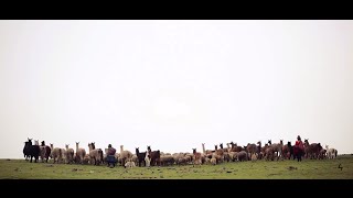 Capsus Showreel Spring 2012