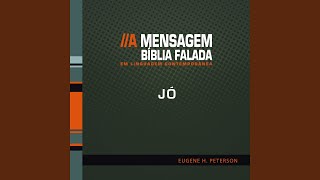 Jó 29